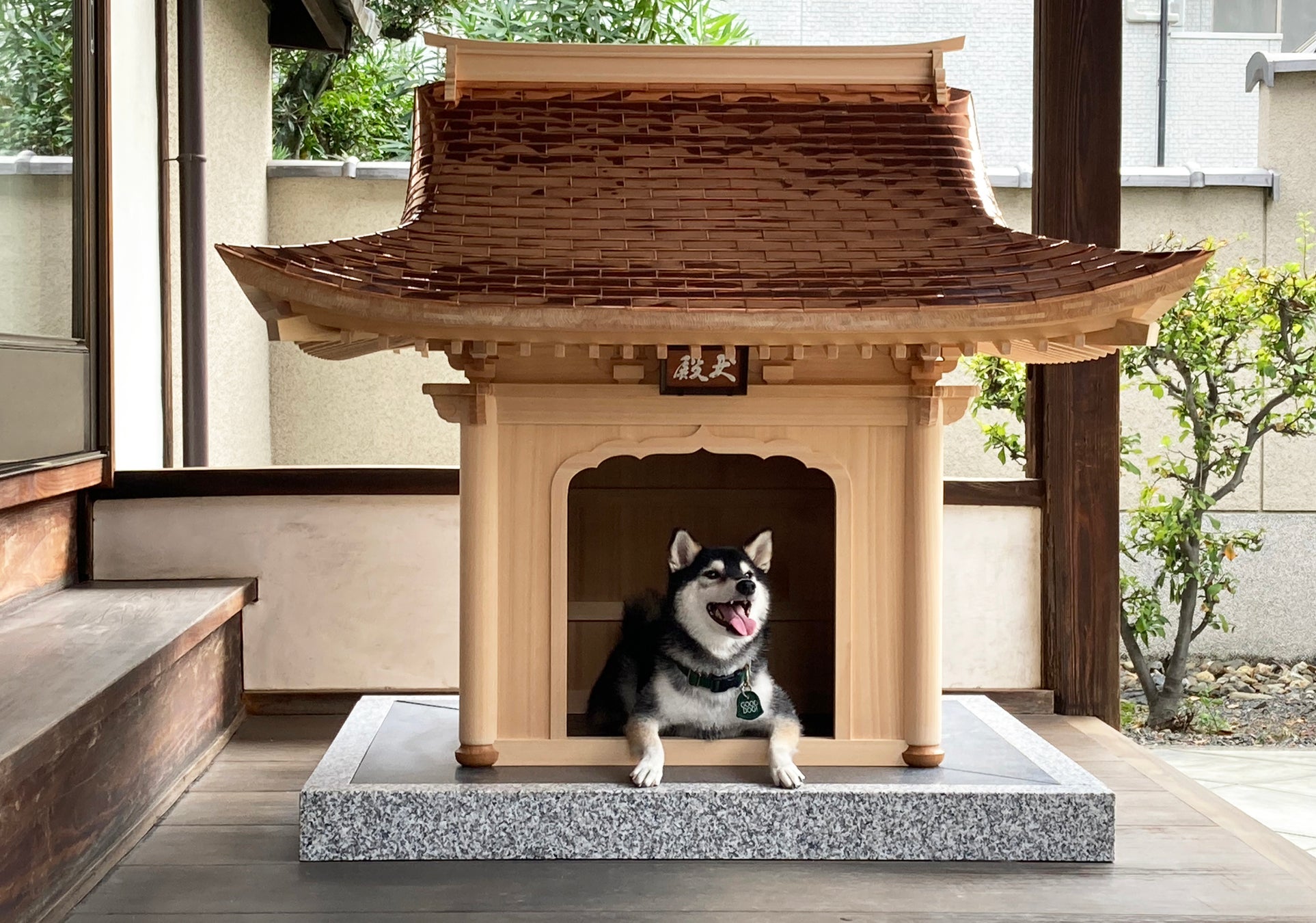 日本社寺建築の粋を結集した最高級犬小屋－ 犬殿（INUDONO） 事前予約受付開始！!のサブ画像1