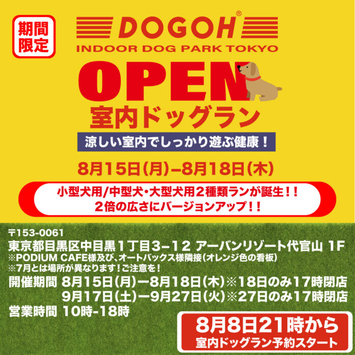 【愛犬の熱中症に要注意】代官山室内ドッグラン好評につき第二弾予約受付中！DOGOH INDOOR DOG PARK TOKYO期間限定オープンのメイン画像