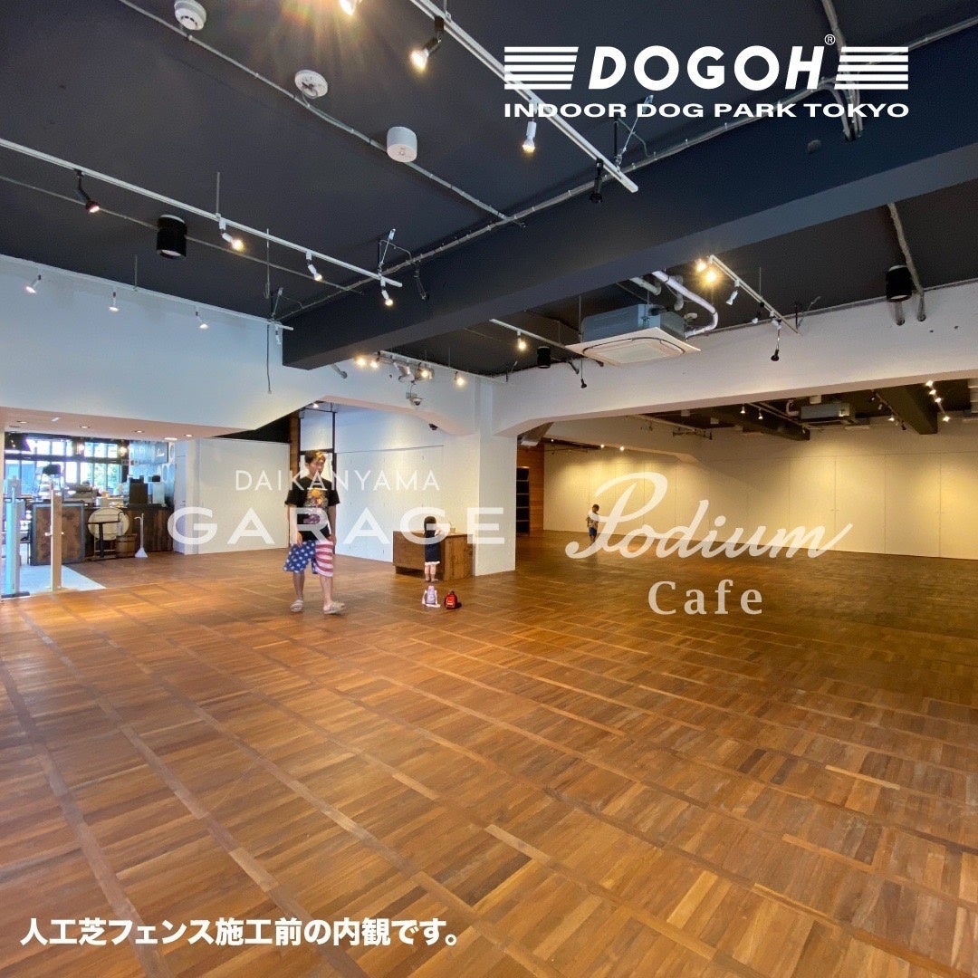 【愛犬の熱中症に要注意】代官山室内ドッグラン好評につき第二弾予約受付中！DOGOH INDOOR DOG PARK TOKYO期間限定オープンのサブ画像6_DOGOH INDOOR DOG PARK TOKYO2022第二弾_室内イメージ1