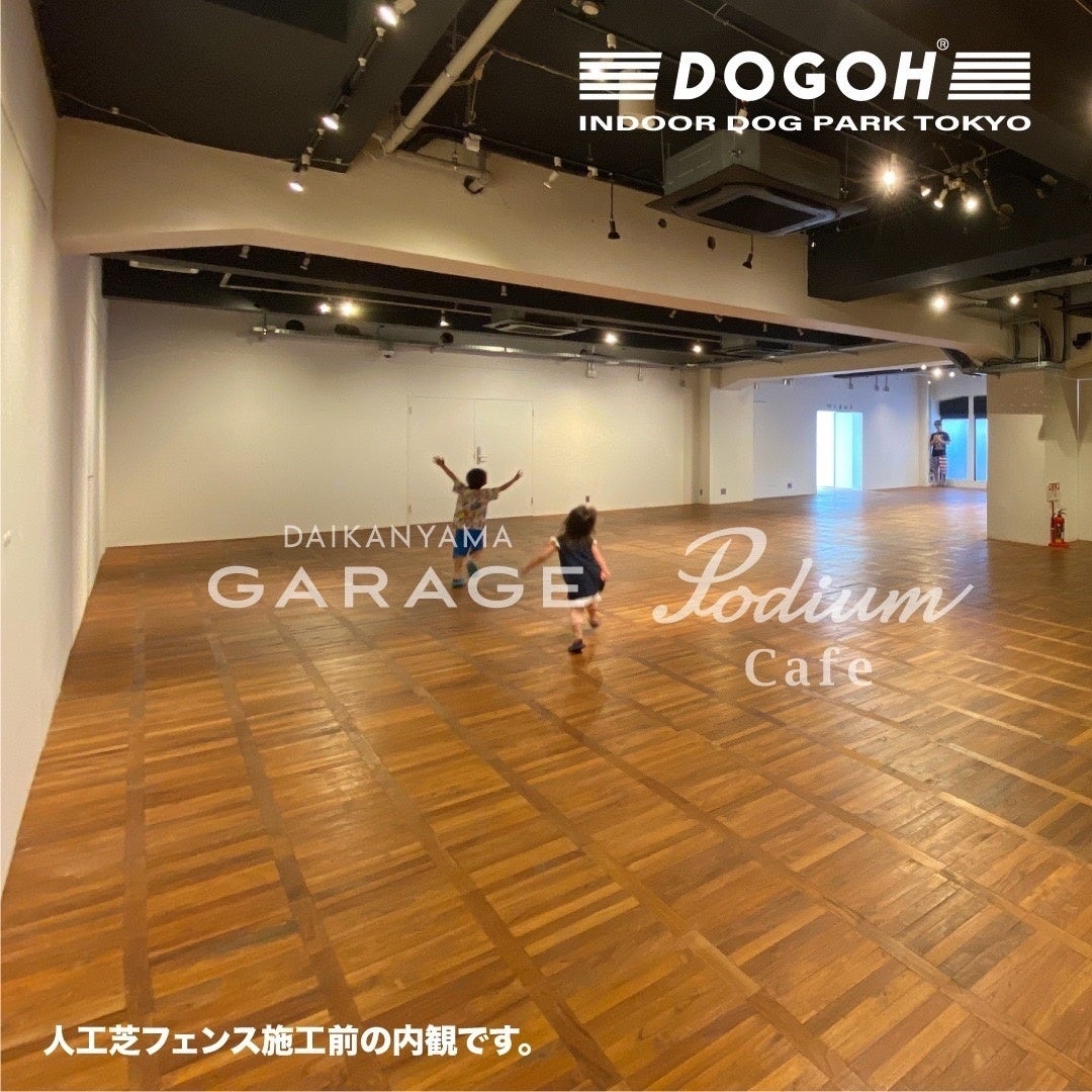【愛犬の熱中症に要注意】代官山室内ドッグラン好評につき第二弾予約受付中！DOGOH INDOOR DOG PARK TOKYO期間限定オープンのサブ画像7_DOGOH INDOOR DOG PARK TOKYO2022第二弾_室内イメージ2