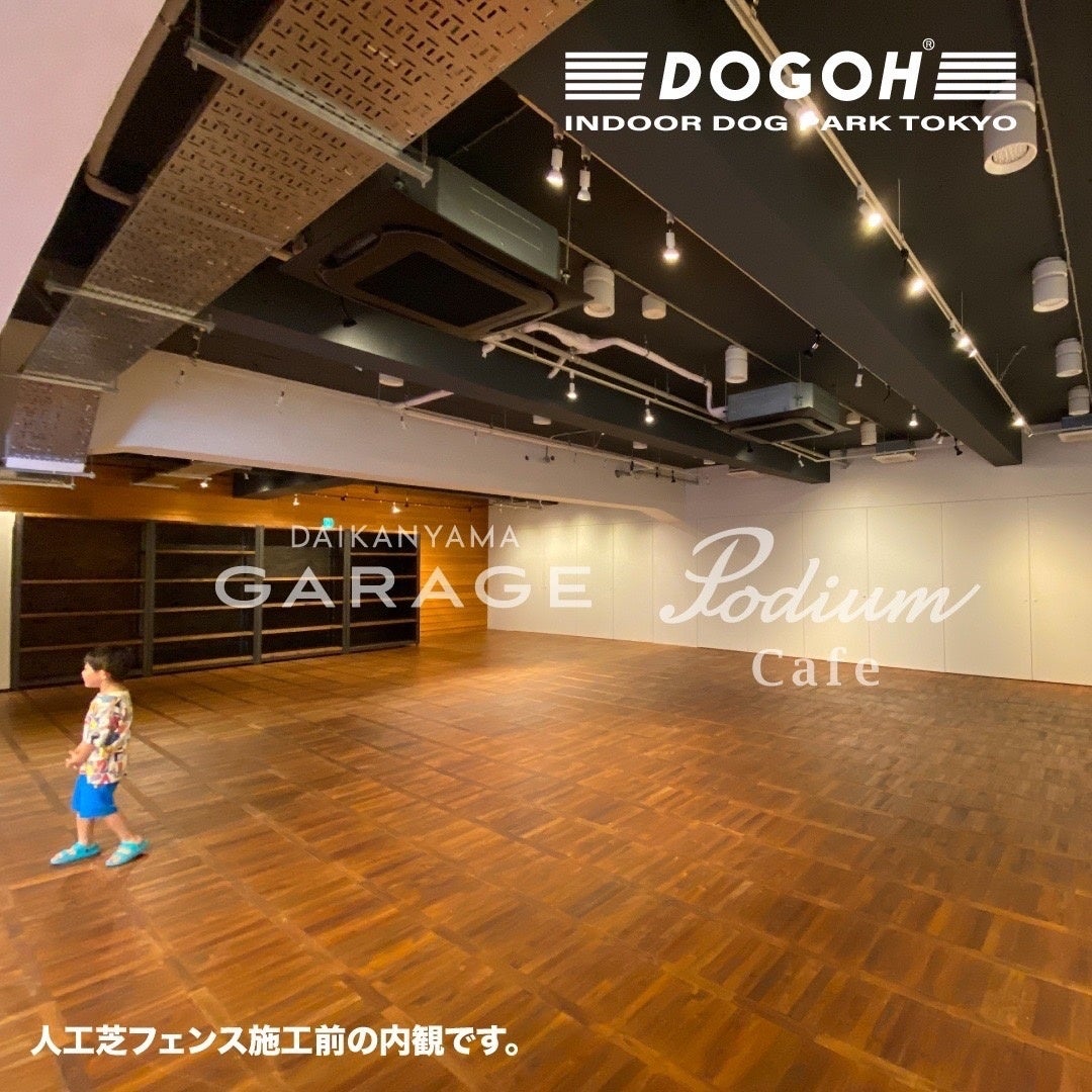 【愛犬の熱中症に要注意】代官山室内ドッグラン好評につき第二弾予約受付中！DOGOH INDOOR DOG PARK TOKYO期間限定オープンのサブ画像8_DOGOH INDOOR DOG PARK TOKYO2022第二弾_室内イメージ3