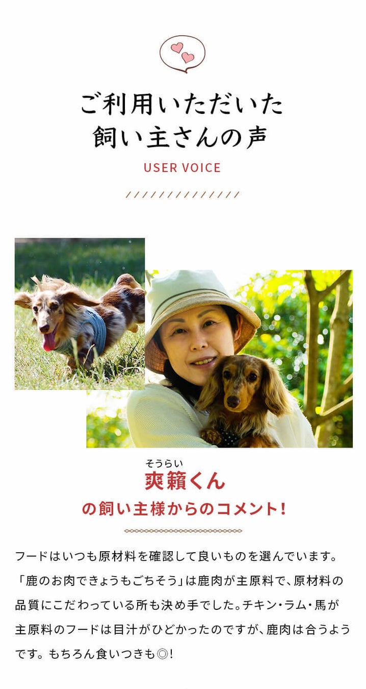 小さな家族（わんちゃん）の健康のお手伝いをしたい！犬用総合栄養食「鹿のお肉できょうもごちそう」が８月１日発売！のサブ画像5