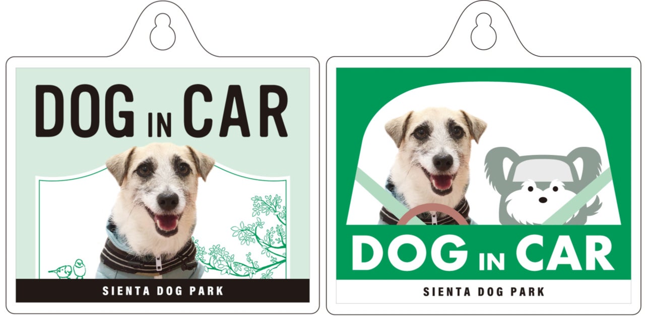 最高の相棒と最高の時間を。 『家族の相棒SIENTA DOG PARK』がオープン 愛犬と楽しめるコンテンツが盛りだくさん！ のサブ画像4