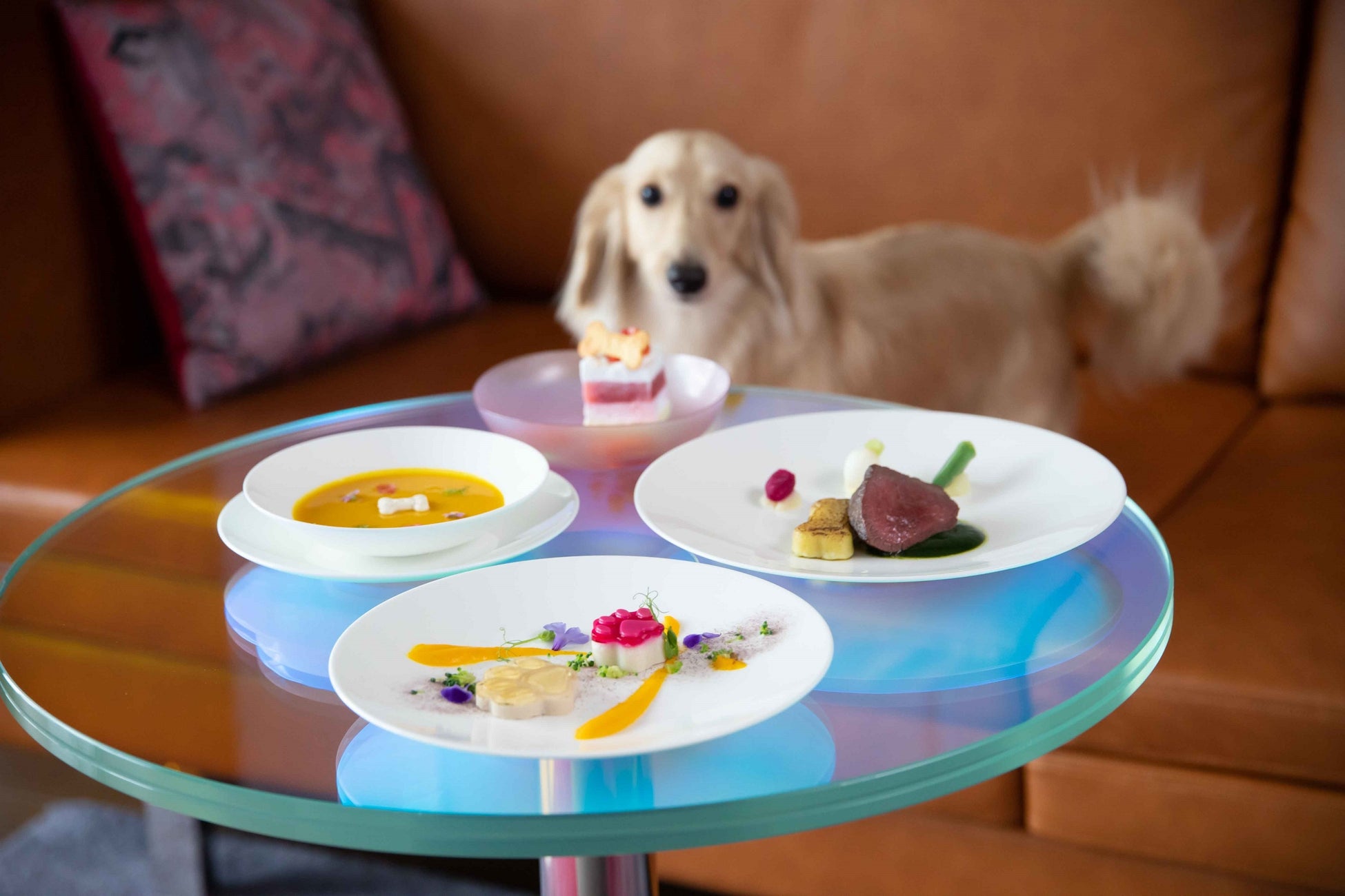【W大阪】愛犬と一緒に泊まるP.A.W.パッケージに新プランが登場！ワンちゃんのためのシェフ特製コース料理が楽しめる宿泊プランのサブ画像3_ワンちゃんのためのシェフ特製コース（イメージ）