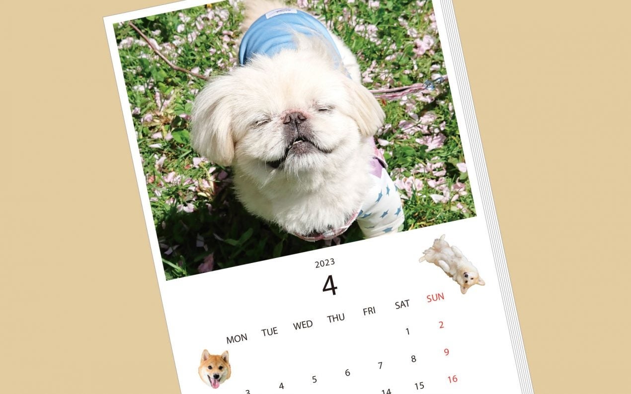 「わらう犬」の写真を募集。世界中をハッピーにしちゃう「わらう犬」カレンダーを制作する試みを、一歩踏み出すきっかけメディア「more felissimo」が展開のサブ画像1