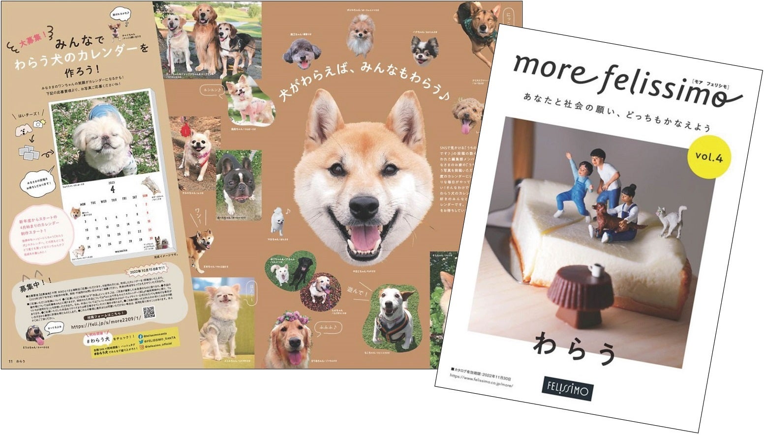 「わらう犬」の写真を募集。世界中をハッピーにしちゃう「わらう犬」カレンダーを制作する試みを、一歩踏み出すきっかけメディア「more felissimo」が展開のサブ画像2