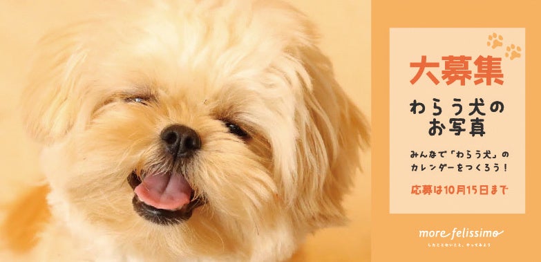 「わらう犬」の写真を募集。世界中をハッピーにしちゃう「わらう犬」カレンダーを制作する試みを、一歩踏み出すきっかけメディア「more felissimo」が展開のサブ画像3