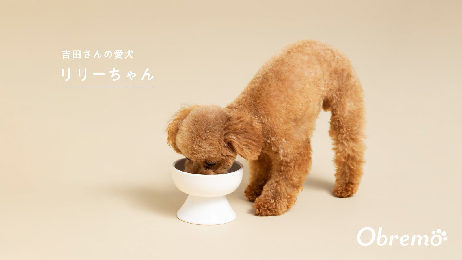 ペットフードブランド「Obremo（オブレモ）」のブランドイメージキャラクターに吉田沙保里さんが就任のサブ画像2