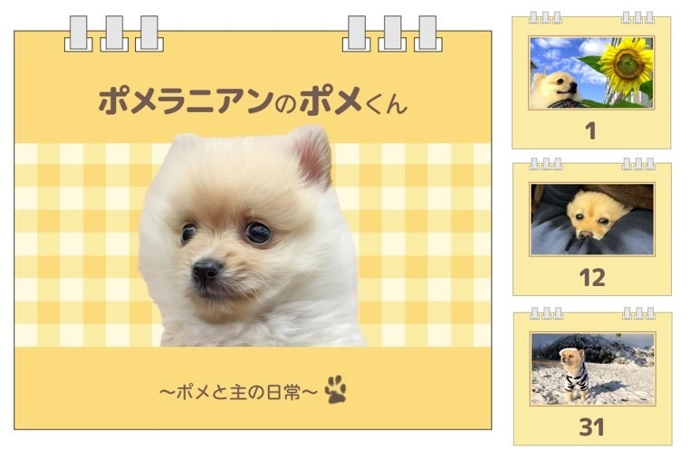 【ポメラニアンのポメくん×ヴィレッジヴァンガード】～大人気YouTubeチャンネルの『ポメくん』とコラボ！～のサブ画像3