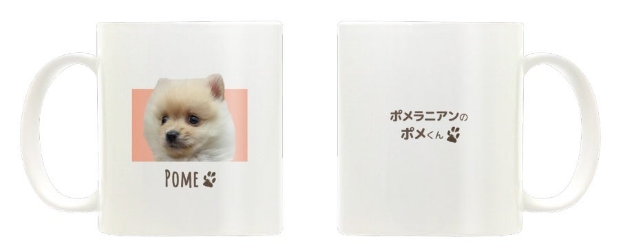 【ポメラニアンのポメくん×ヴィレッジヴァンガード】～大人気YouTubeチャンネルの『ポメくん』とコラボ！～のサブ画像5