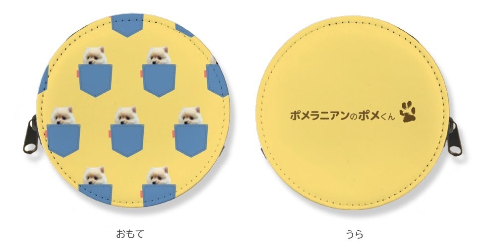 【ポメラニアンのポメくん×ヴィレッジヴァンガード】～大人気YouTubeチャンネルの『ポメくん』とコラボ！～のサブ画像6