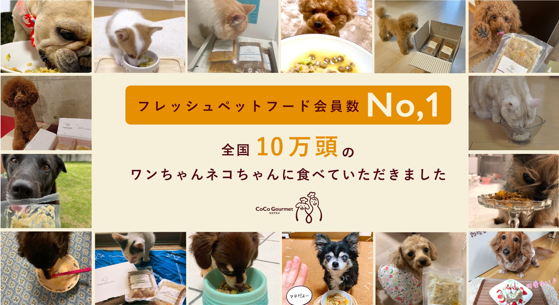 フレッシュペットフード会員数No.1「ココグルメ」のポイントプログラムが始まりますのサブ画像3