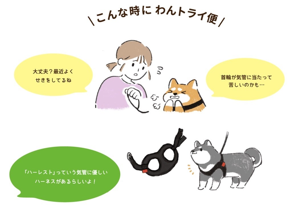【株式会社anifull】動物用のサポーターが自宅で試着できるサービス「わんトライ便」スタート！のサブ画像3