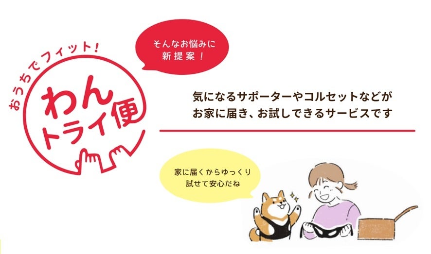 【株式会社anifull】動物用のサポーターが自宅で試着できるサービス「わんトライ便」スタート！のサブ画像5
