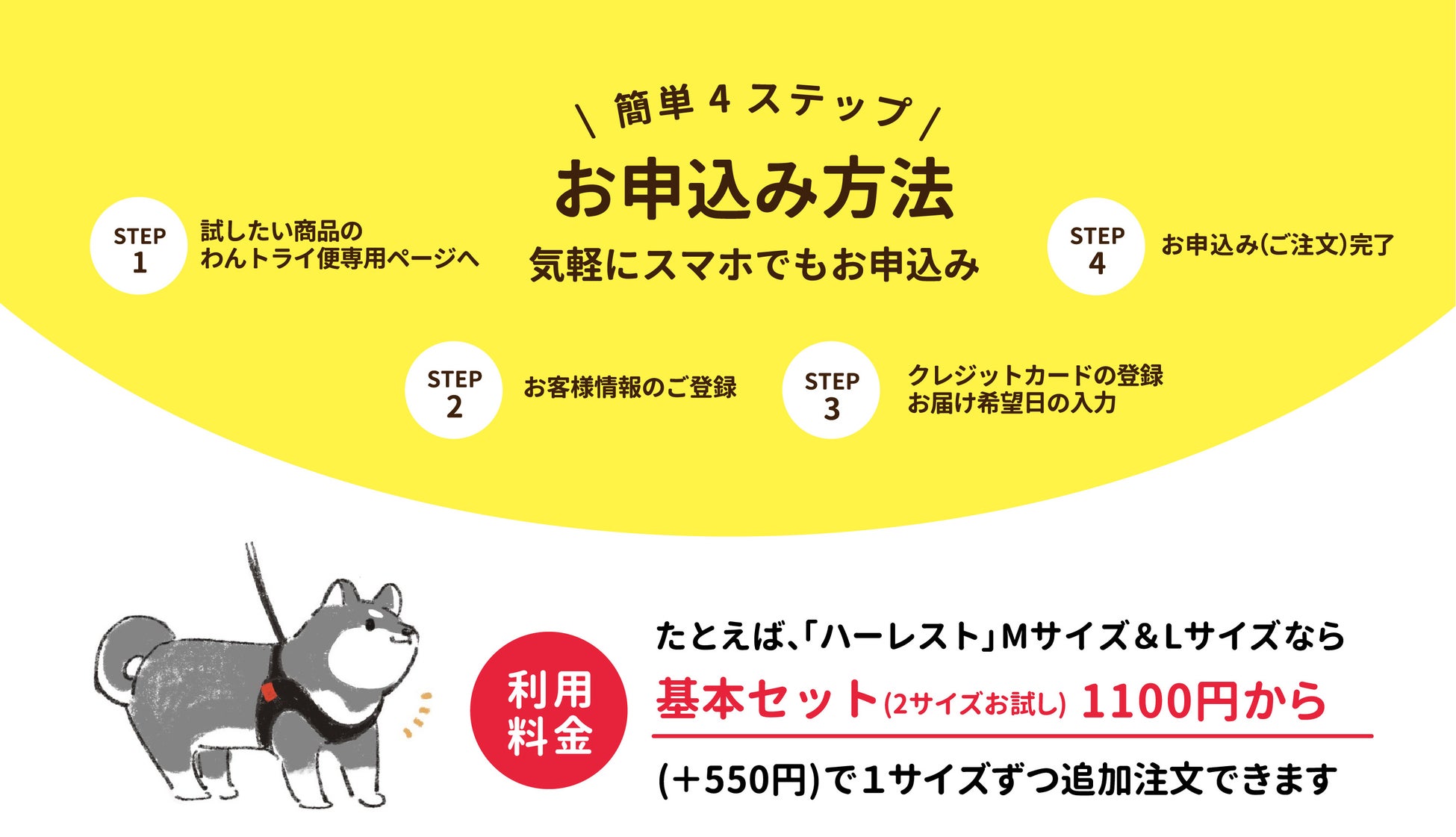 【株式会社anifull】動物用のサポーターが自宅で試着できるサービス「わんトライ便」スタート！のサブ画像6