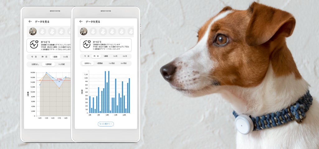 犬猫用 活動量計『PLUS CYCLE』と、ペット総合アプリ『Pet』がパートナーシップを締結のサブ画像3