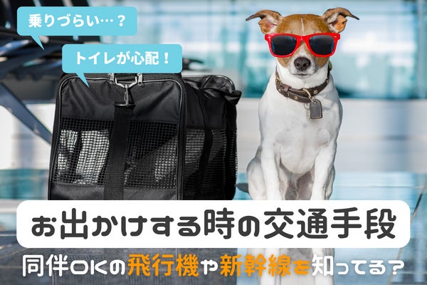 愛犬と公共交通機関を利用したことがある人は〇％！「乗りづらい…」「同伴搭乗できる飛行機を利用してみたい」と言う声も【飼い主200人アンケート】のサブ画像1