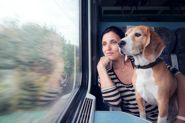 愛犬と公共交通機関を利用したことがある人は〇％！「乗りづらい…」「同伴搭乗できる飛行機を利用してみたい」と言う声も【飼い主200人アンケート】のサブ画像9