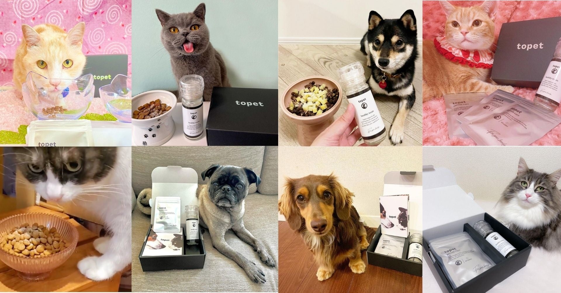 犬猫の口腔ケア商品「お口のふりかけ」がCAMPFIRE公開10分で目標額を達成！翌日には274%達成で応援購入総額82万円突破！のサブ画像4