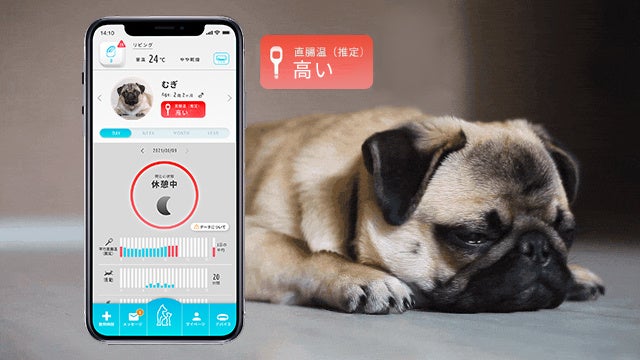 イヌネコ専用活動量計『PetVoice』が CAMPFIRE(キャンプファイヤー)にて8月19日からクラウドファンディングを開始のサブ画像3