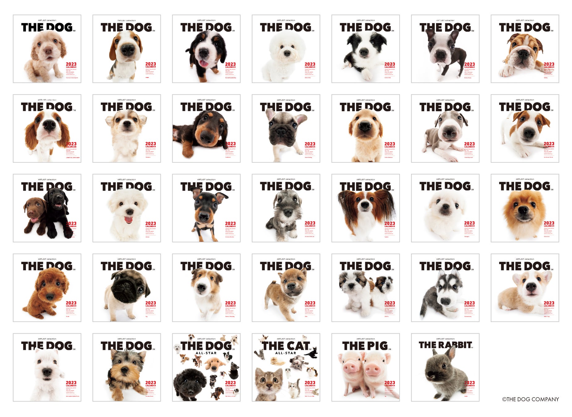 ロングセラー商品「THE DOG™」2023年犬種別カレンダー　公式WEBストア「THE DOG STORE」にて8/9予約受付開始　　　　　　　　　のサブ画像4