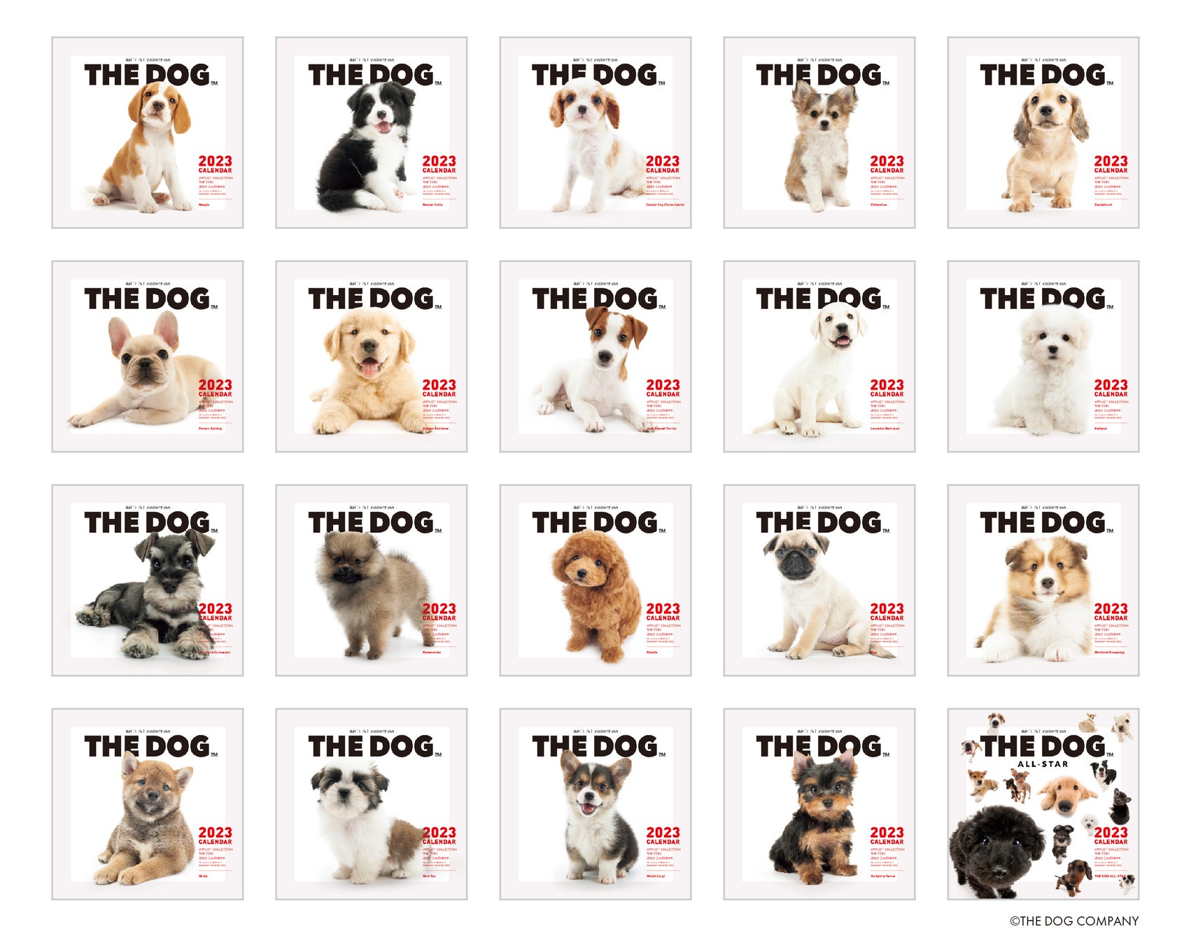 ロングセラー商品「THE DOG™」2023年犬種別カレンダー　公式WEBストア「THE DOG STORE」にて8/9予約受付開始　　　　　　　　　のサブ画像5