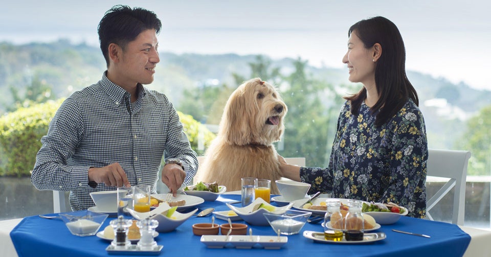 【わんパラ・Wan'sで8月も開催中】猛暑でも安心！愛犬と一緒に楽しめる限定イベント！のサブ画像6