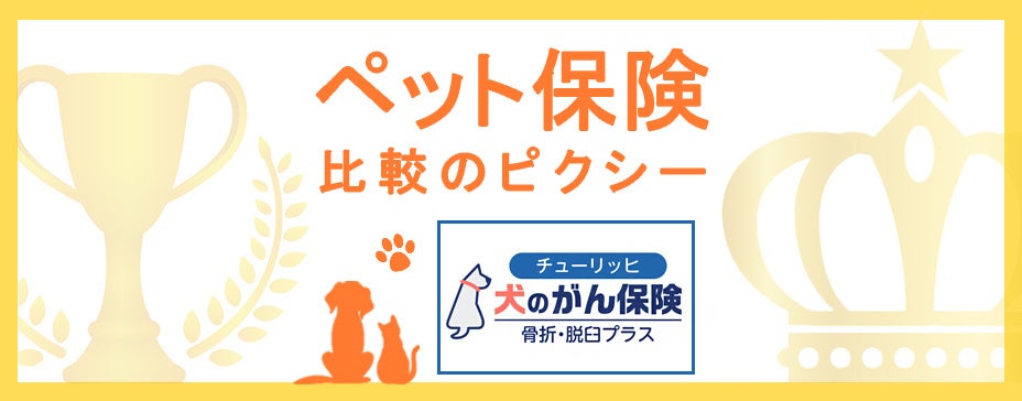 『ペット保険比較のピクシー』がチューリッヒ少額短期保険のペット保険「犬のがん保険（骨折・脱臼プラス）」を販売開始！のサブ画像1