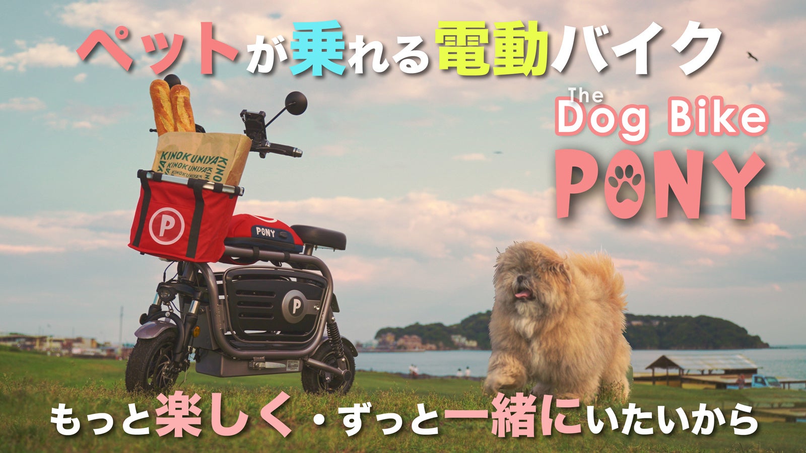 いつでもどこでも、ずっと一緒にいたいから「ペットと乗れる電動バイク」『PONY』9/3日（土） Makuakeで先行販売開始！のサブ画像4