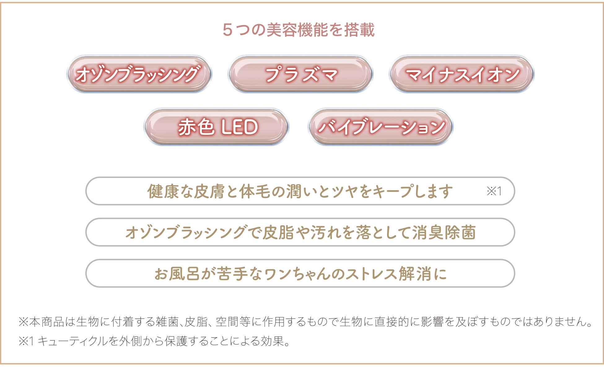 【新登場】これからの時代はペットもおうち美容。のサブ画像3