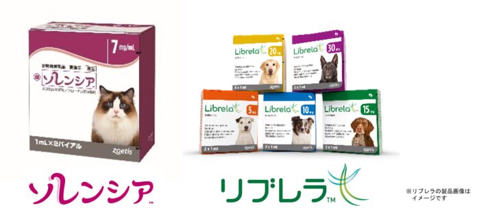 見逃されやすく、治療率は3％以下*１。犬猫の“変形性関節症”に伴う疼痛緩和に朗報！変形性関節症に伴う痛みを抑える治療薬「ソレンシア(猫用）」「リブレラ(犬用)」が国内製造販売承認を取得のメイン画像