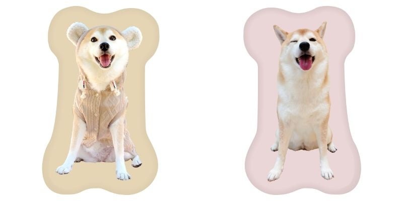 【柴犬チャーミー×ヴィレッジヴァンガード】コラボグッズ発売決定！！のサブ画像3