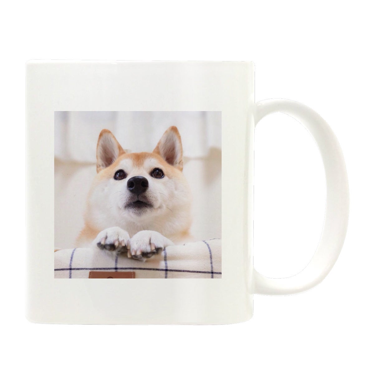 【柴犬チャーミー×ヴィレッジヴァンガード】コラボグッズ発売決定！！のサブ画像5