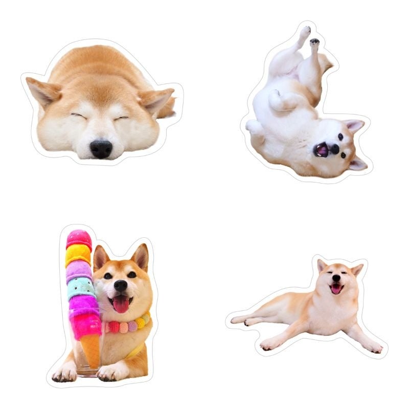 【柴犬チャーミー×ヴィレッジヴァンガード】コラボグッズ発売決定！！のサブ画像6