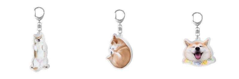 【柴犬チャーミー×ヴィレッジヴァンガード】コラボグッズ発売決定！！のサブ画像7