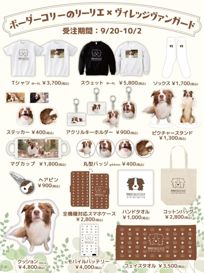 【ボーダーコリーのリーリエ×ヴィレッジヴァンガード】～コラボグッズ発売決定！！～のメイン画像