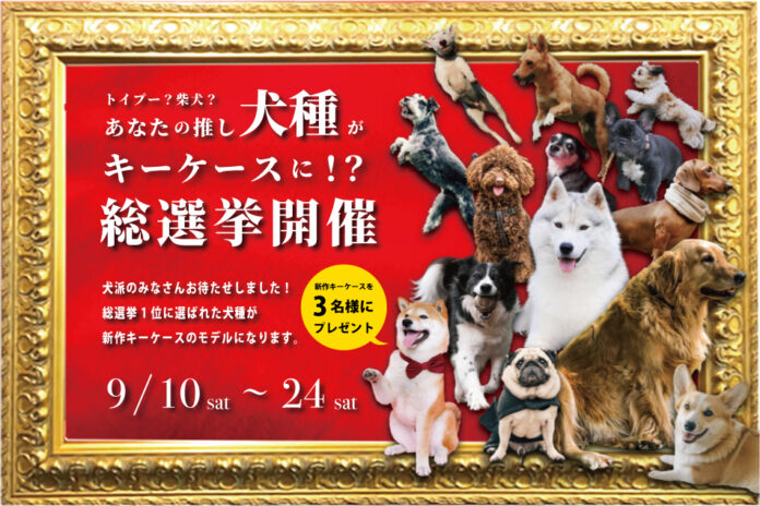 犬派のみなさんお待たせしました！あなたの推し犬種がキーケースに！？総選挙開催のメイン画像