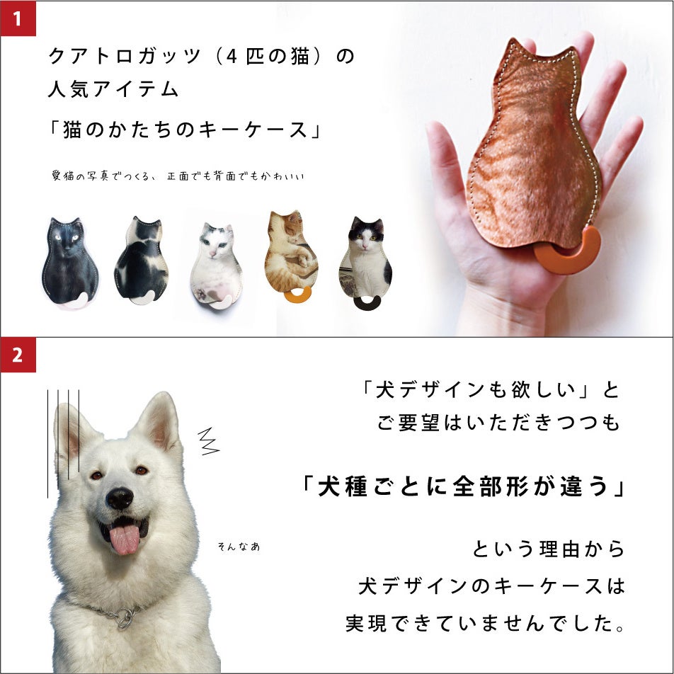 犬派のみなさんお待たせしました！あなたの推し犬種がキーケースに！？総選挙開催のサブ画像2