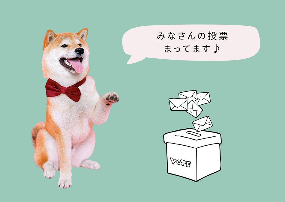 犬派のみなさんお待たせしました！あなたの推し犬種がキーケースに！？総選挙開催のサブ画像4