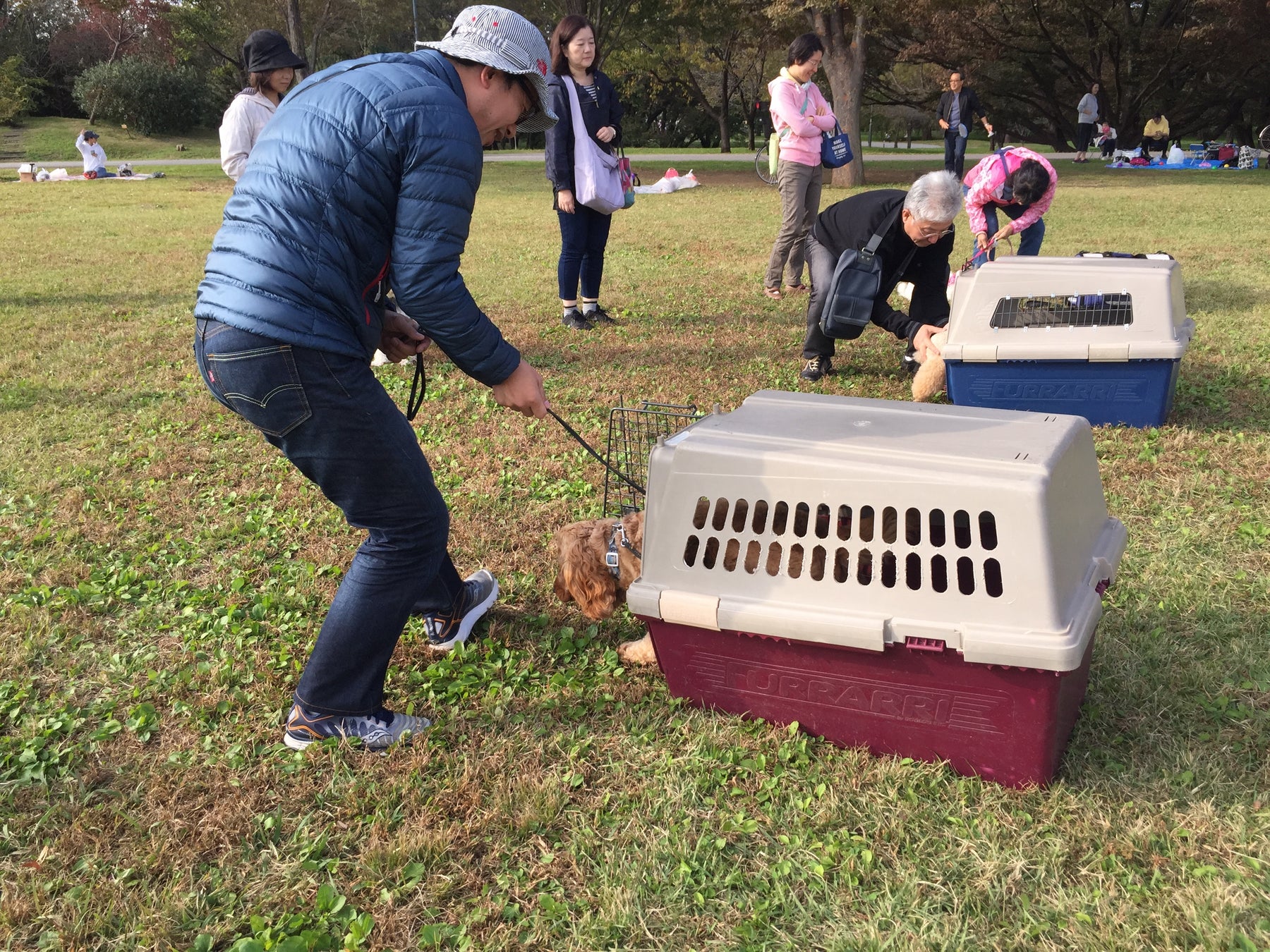 【9月は防災月間】愛犬と一緒に災害に備える「くんくんドッグフェスタ ～ペット防災＆スポーツ～」2022年9月24日（土）初開催（国営・都立東京臨海広域防災公園）のサブ画像4_愛犬との暮らし方教室 