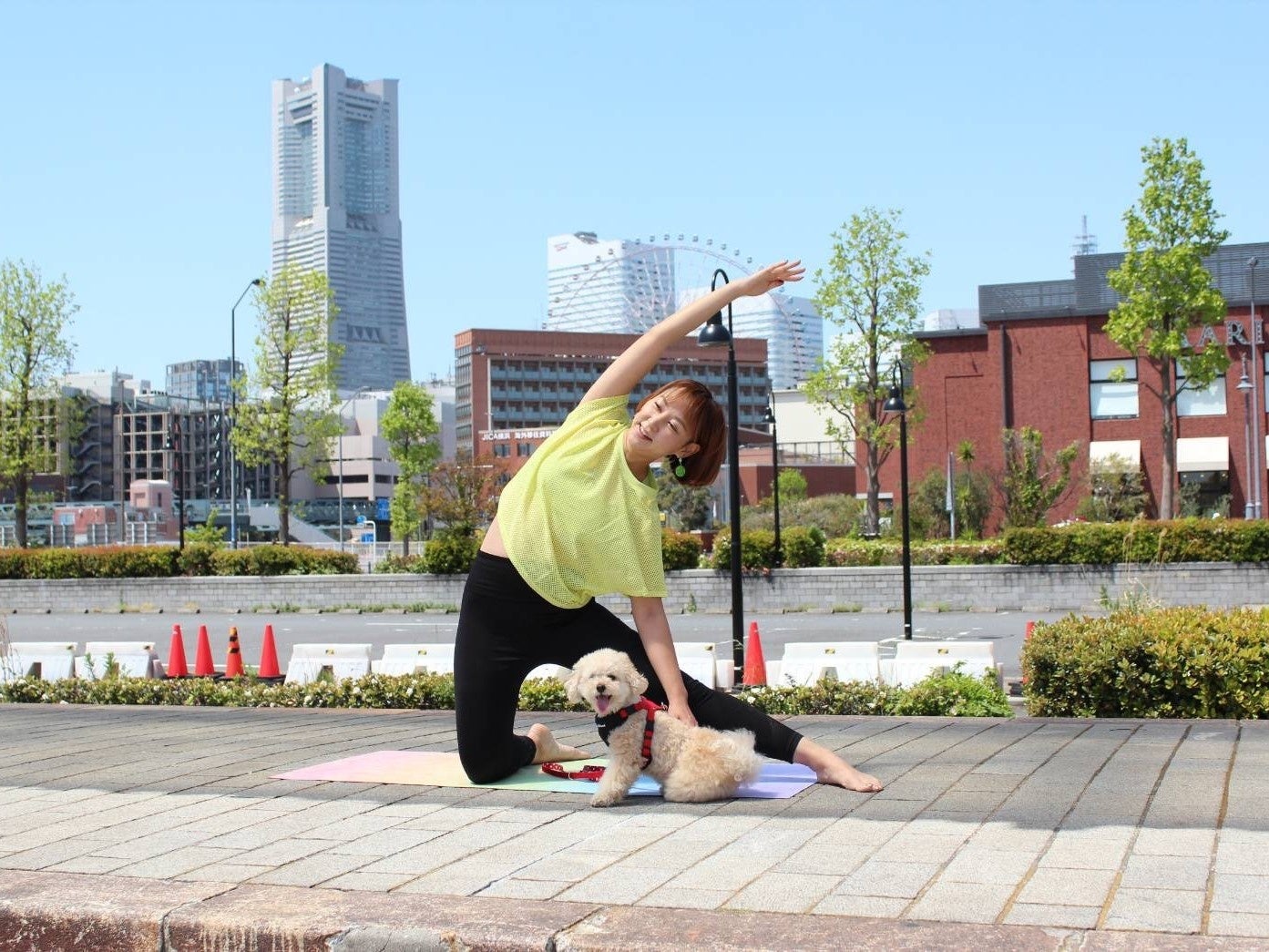 【9月は防災月間】愛犬と一緒に災害に備える「くんくんドッグフェスタ ～ペット防災＆スポーツ～」2022年9月24日（土）初開催（国営・都立東京臨海広域防災公園）のサブ画像6_ドッグヨガ体験会