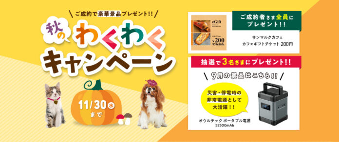 アイペット「秋のわくわくキャンペーン」開始！のメイン画像