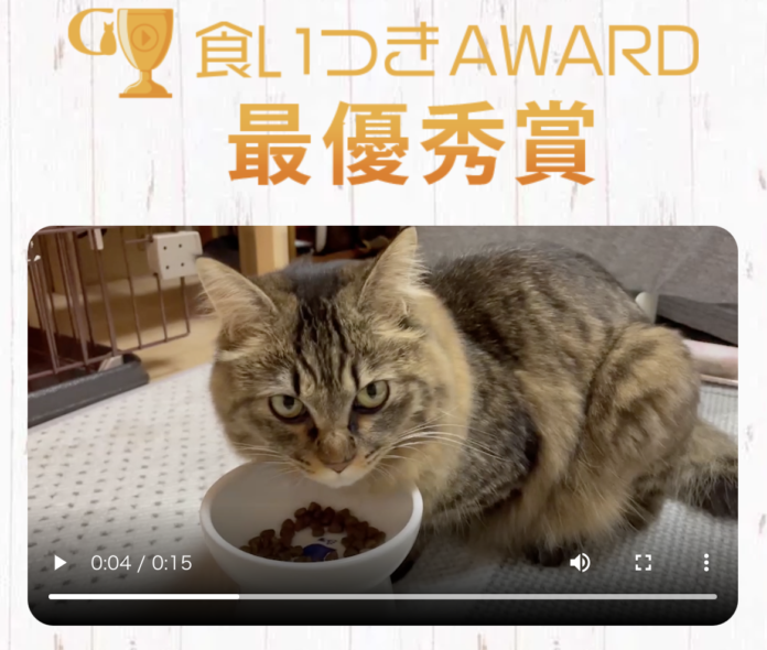 無添加グレインフリーキャットフードで注目を集めるGRANDS「食いつきAWARD 2022SUMMER」を開催！約1月による戦いを勝ち抜いた受賞にゃんこが出揃う！のメイン画像