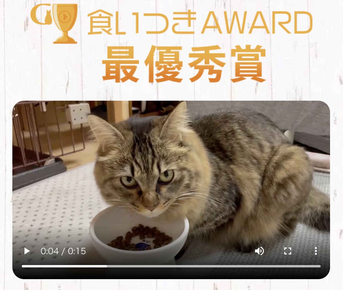 無添加グレインフリーキャットフードで注目を集めるGRANDS「食いつきAWARD 2022SUMMER」を開催！約1月による戦いを勝ち抜いた受賞にゃんこが出揃う！のサブ画像1