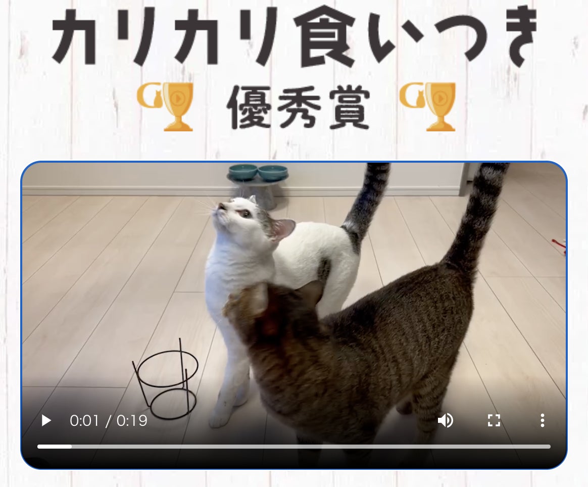 無添加グレインフリーキャットフードで注目を集めるGRANDS「食いつきAWARD 2022SUMMER」を開催！約1月による戦いを勝ち抜いた受賞にゃんこが出揃う！のサブ画像2