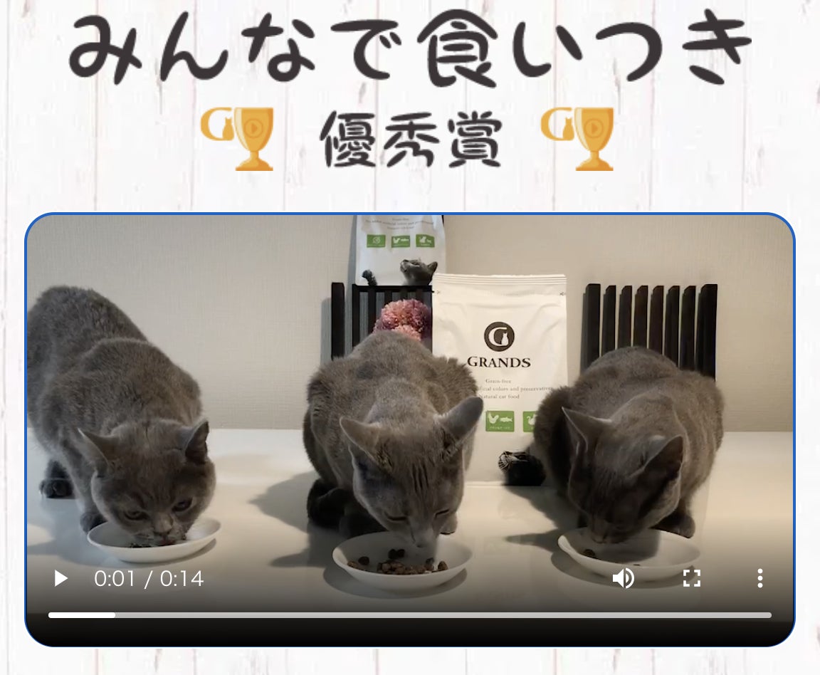無添加グレインフリーキャットフードで注目を集めるGRANDS「食いつきAWARD 2022SUMMER」を開催！約1月による戦いを勝ち抜いた受賞にゃんこが出揃う！のサブ画像3