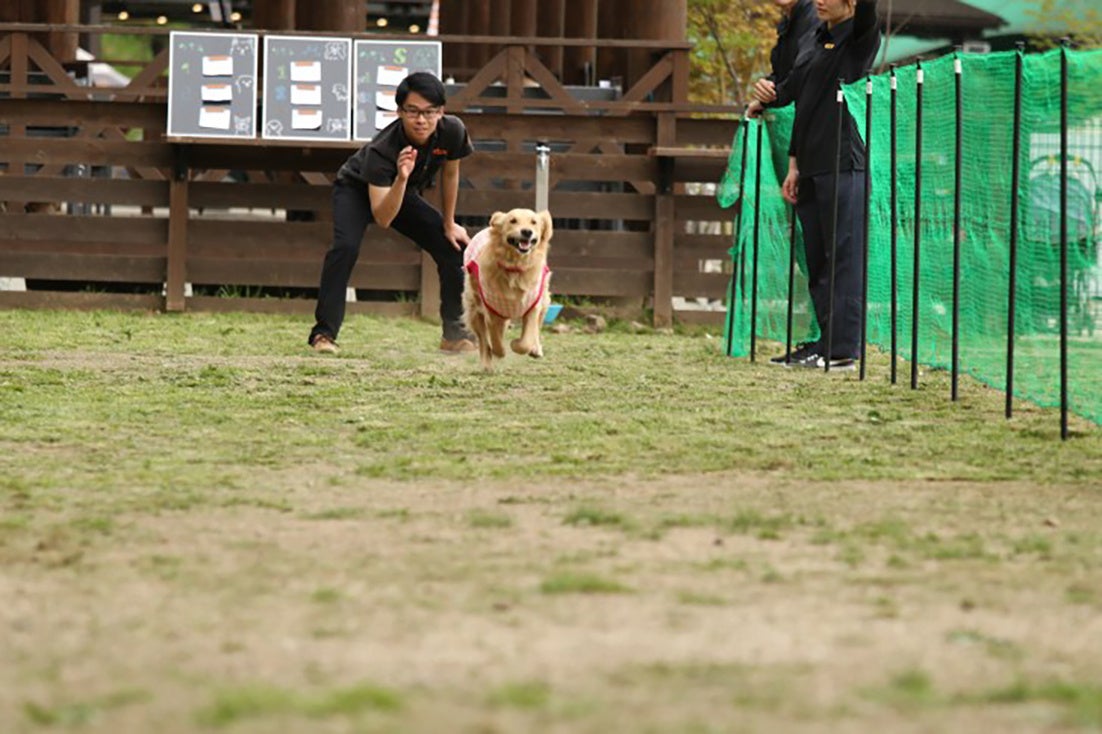 愛犬と飼い主様のための秋の祭典『わんダフルオータムフェスタ』が今年も開催！！のサブ画像3_ドッグタイムレース