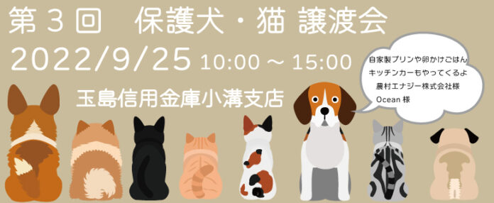 玉島信用金庫/小溝支店：保護犬・猫譲渡会を開催しますのメイン画像