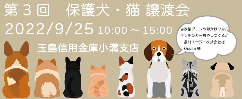 玉島信用金庫/小溝支店：保護犬・猫譲渡会を開催しますのサブ画像1