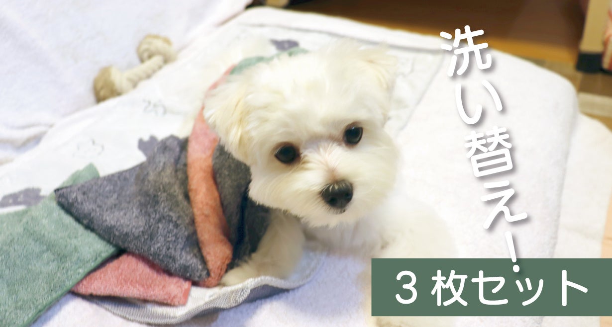 【吸水性8倍でタオルドライ時短】お風呂がもっと楽しくなる。スーパー吸水ペットタオルがアタラシイものや体験の応援購入サービス「Makuake（マクアケ）」にて、先行販売開始！のサブ画像16